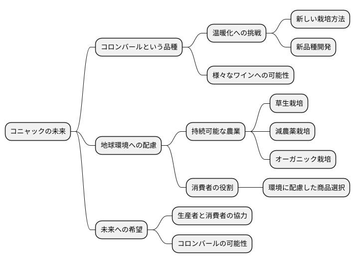 未来への展望