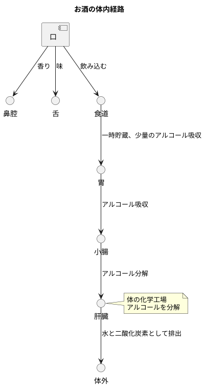 お酒の旅路：体への入り口
